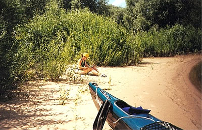 ELBE-km 558 - bei Boizenburg (1999) Herrliche Sandbuhnen auf der linken Elbseite